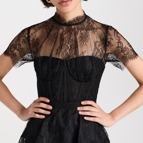 SIMKHAI Kehlani Lace Bustier Top  Kehlani Lace Bustier Top - Picture 2 of 9